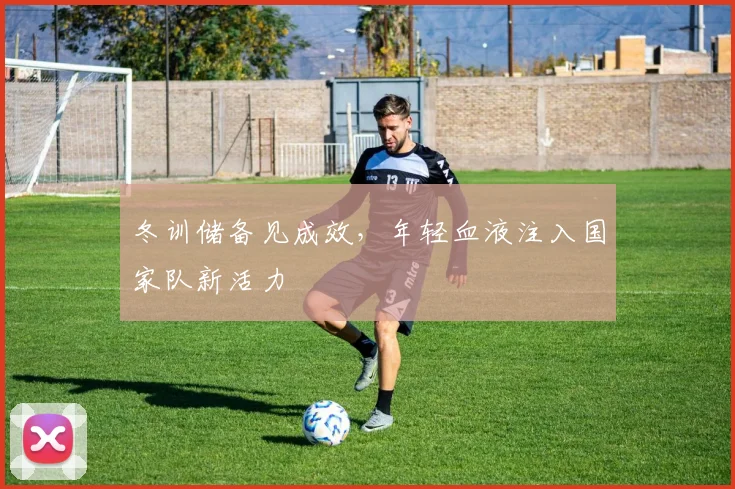 冬训储备见成效，年轻血液注入国家队新活力